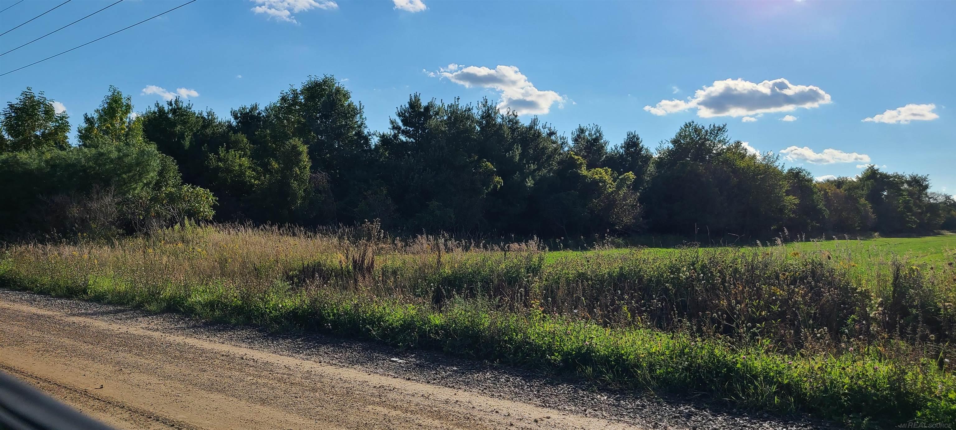 Vl Babcock Road Lexington, MI 48450 - Photo 14 of 14