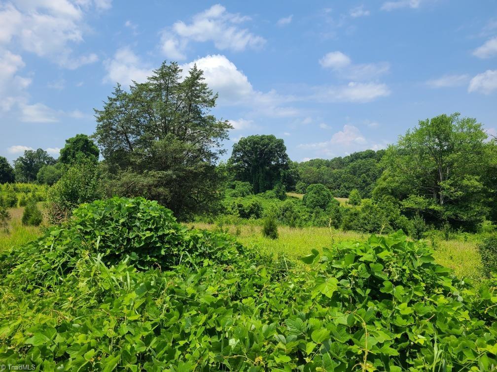 7856-7864 Alcorn Road Oak Ridge, NC 27310 - Photo 3 of 5