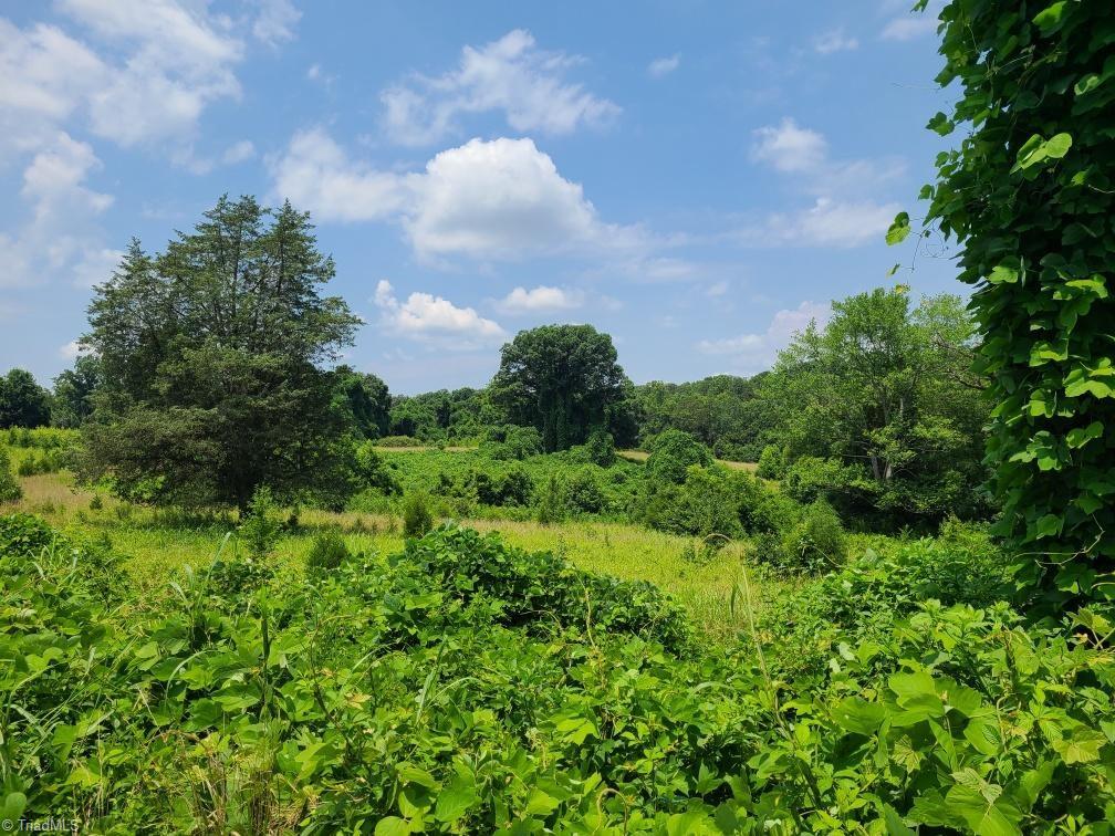 7856-7864 Alcorn Road Oak Ridge, NC 27310 - Photo 4 of 5