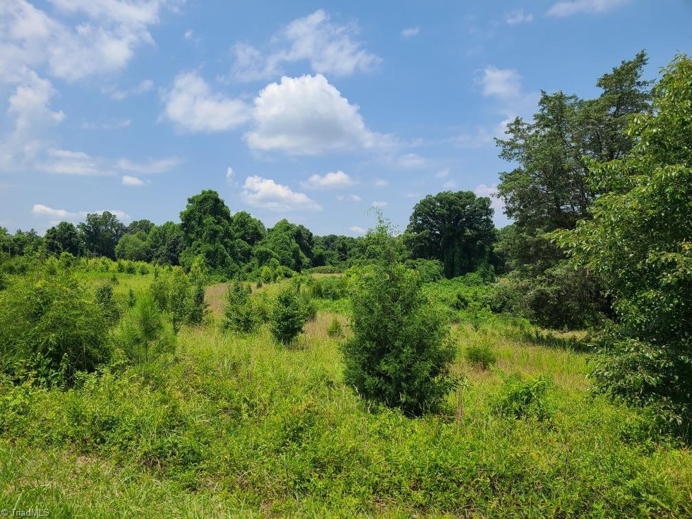 7856-7864 Alcorn Road Oak Ridge, NC 27310 - Photo 5 of 5