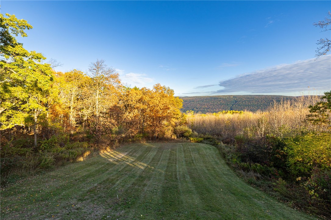 6779 Longsdorf Road Naples, NY 14512 - Photo 48 of 50