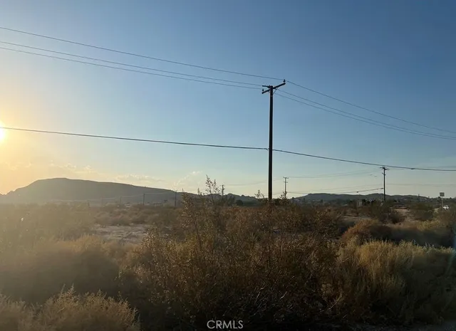 a view of a dry yard