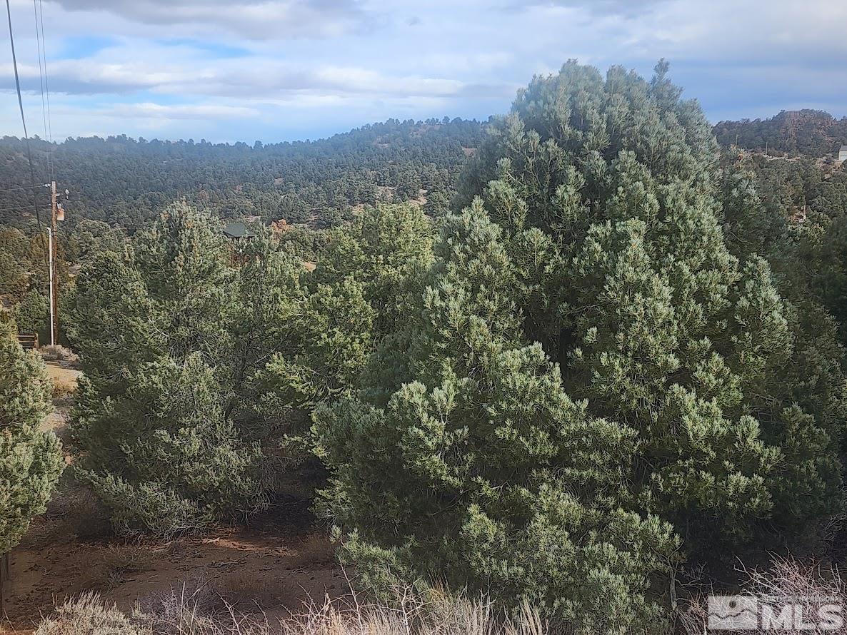 21940 Panhandle Road Reno, NV 89521 - Photo 4 of 6 a view of a city with lush green forest
