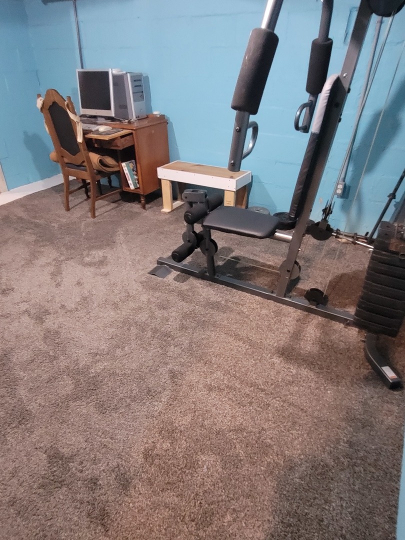 442 High Street Buda, IL 61314 - Photo 30 of 45