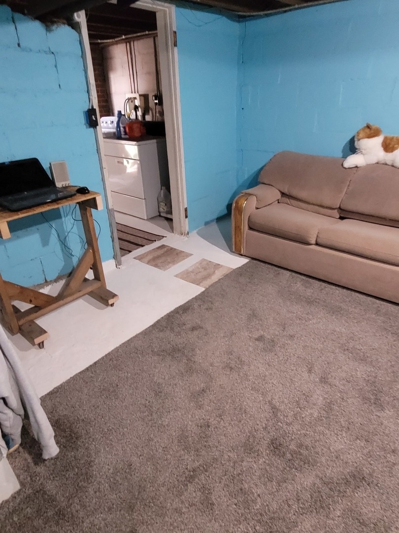 442 High Street Buda, IL 61314 - Photo 31 of 45