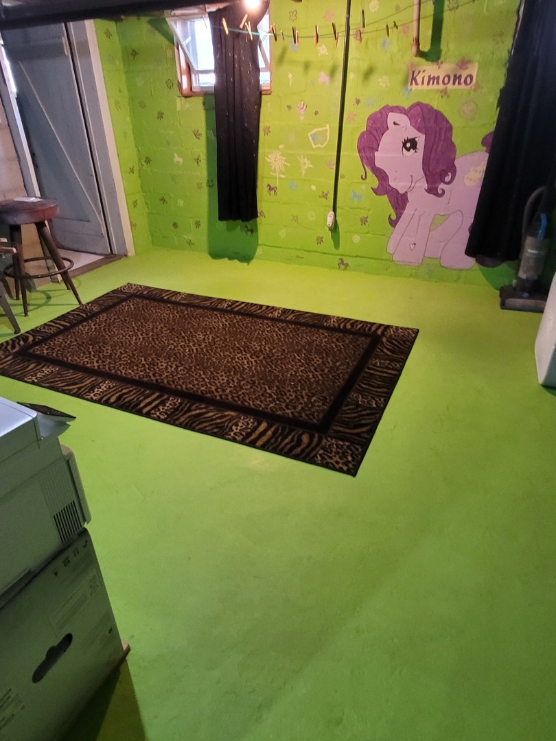 442 High Street Buda, IL 61314 - Photo 34 of 45