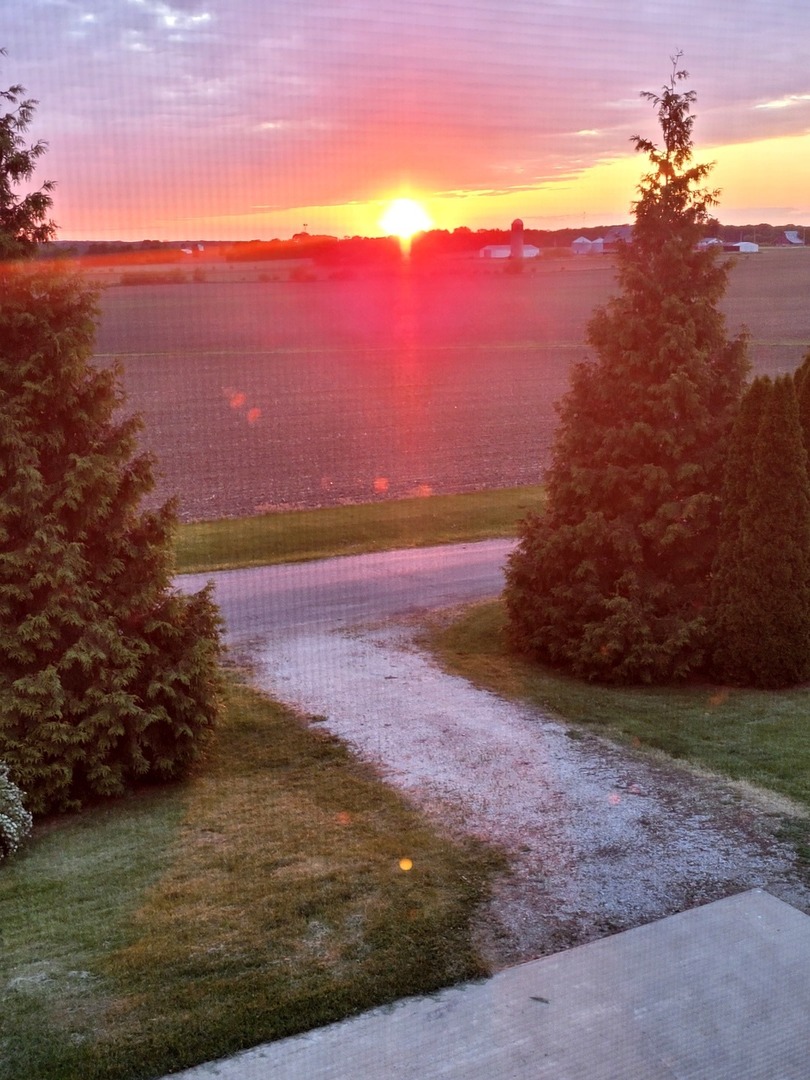 442 High Street Buda, IL 61314 - Photo 45 of 45