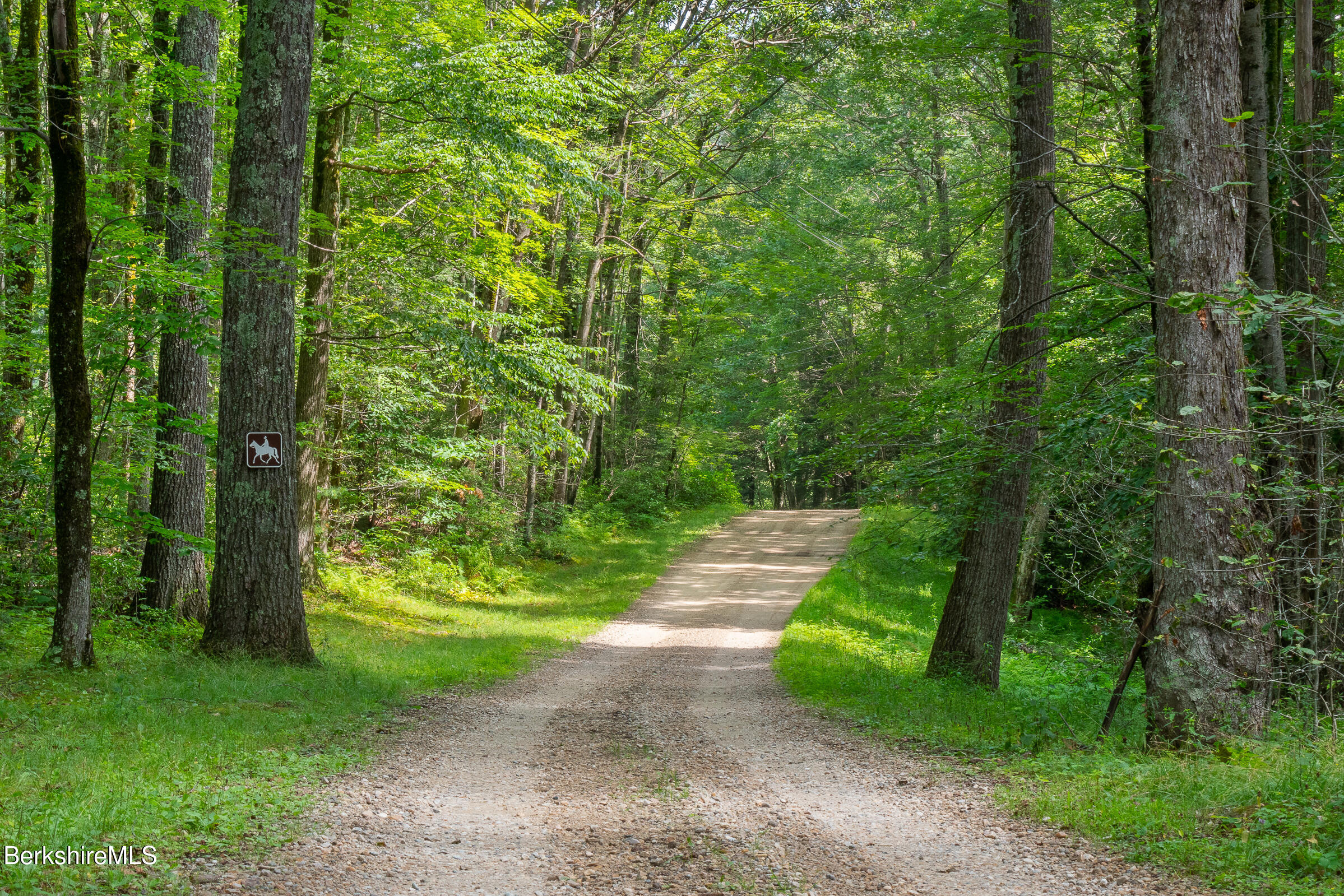 19 Roberts Road Sandisfield, MA 01255 - Photo 13 of 77 13_5_19 Roberts Rd WPSIR LCF