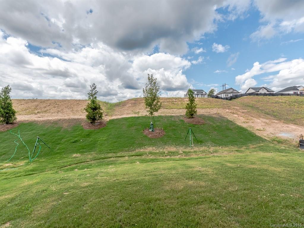 222 June Bug Lane Fort Mill, SC 29708 - Photo 23 of 24 Gallery Image 23