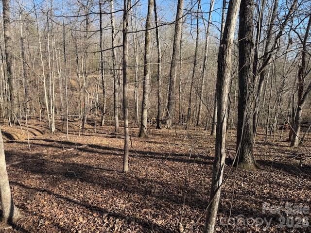 0 Valley Drive Rutherfordton, NC 28139 - Photo 12 of 14 a view of a pathway with a yard