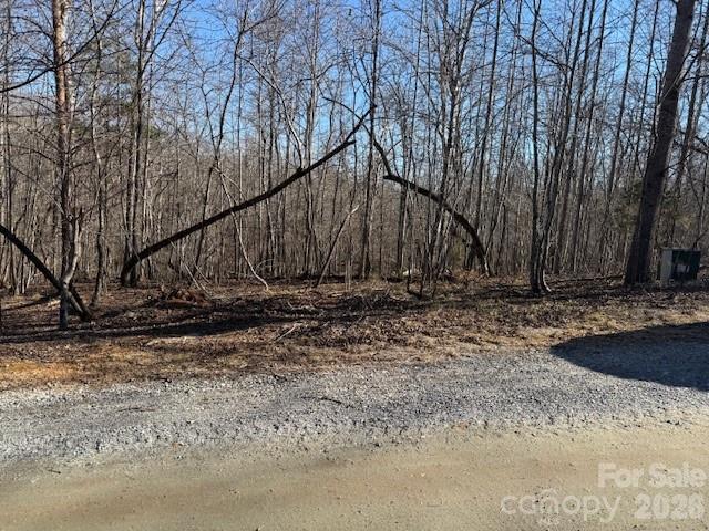 0 Valley Drive Rutherfordton, NC 28139 - Photo 13 of 14 a view of yard covered with snow