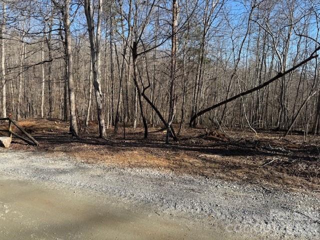 0 Valley Drive Rutherfordton, NC 28139 - Photo 14 of 14 a view of a backyard of the house