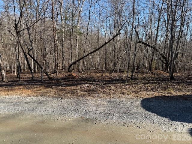 0 Valley Drive Rutherfordton, NC 28139 - Photo 2 of 14 a view of yard
