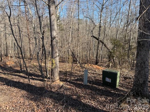 0 Valley Drive Rutherfordton, NC 28139 - Photo 3 of 14 a backyard of a house with lots of green space