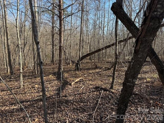 0 Valley Drive Rutherfordton, NC 28139 - Photo 4 of 14 a backyard of a house with lots of green space