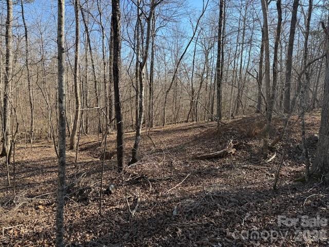 0 Valley Drive Rutherfordton, NC 28139 - Photo 5 of 14 a view of backyard with tree