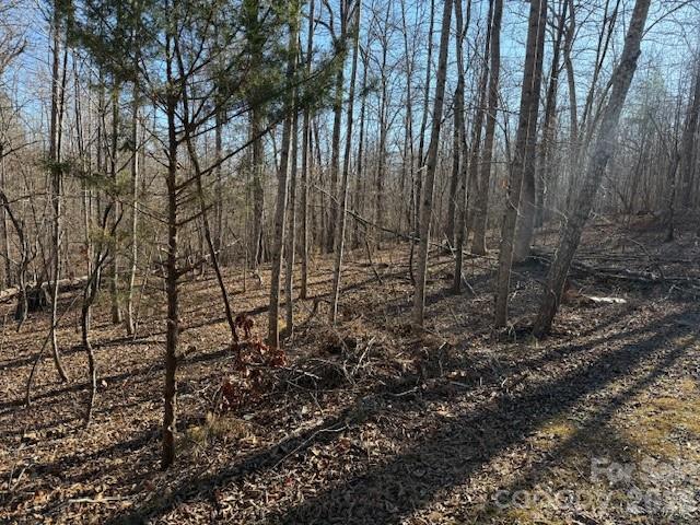 0 Valley Drive Rutherfordton, NC 28139 - Photo 6 of 14 a view of a yard with a tree
