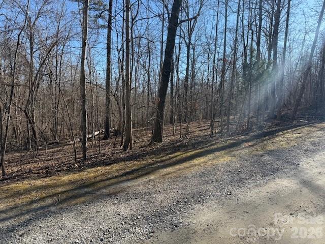 0 Valley Drive Rutherfordton, NC 28139 - Photo 7 of 14 a view of a backyard with trees