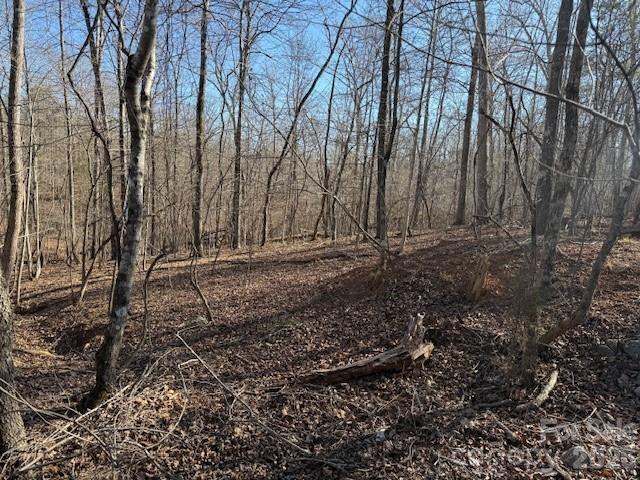 0 Valley Drive Rutherfordton, NC 28139 - Photo 8 of 14 a backyard of a house with lots of green space
