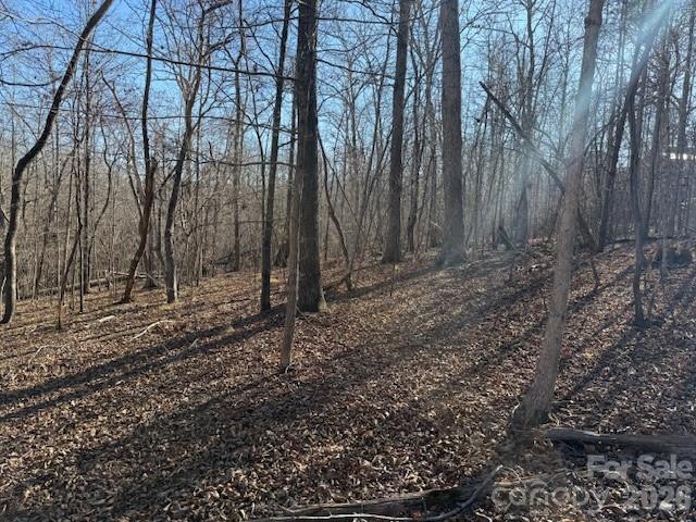0 Valley Drive Rutherfordton, NC 28139 - Photo 9 of 14 a view of a backyard