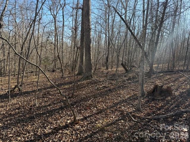 0 Valley Drive Rutherfordton, NC 28139 - Photo 10 of 14 a backyard of a house with lots of green space