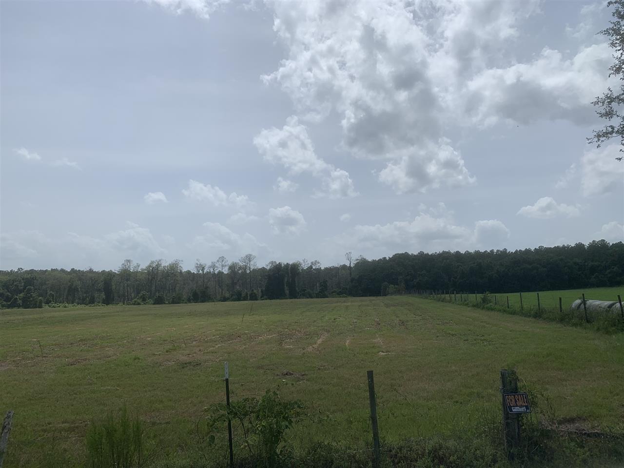 Tbd Hogan Road Live Oak, FL 32060 - Photo 3 of 3 Gallery Image 3
