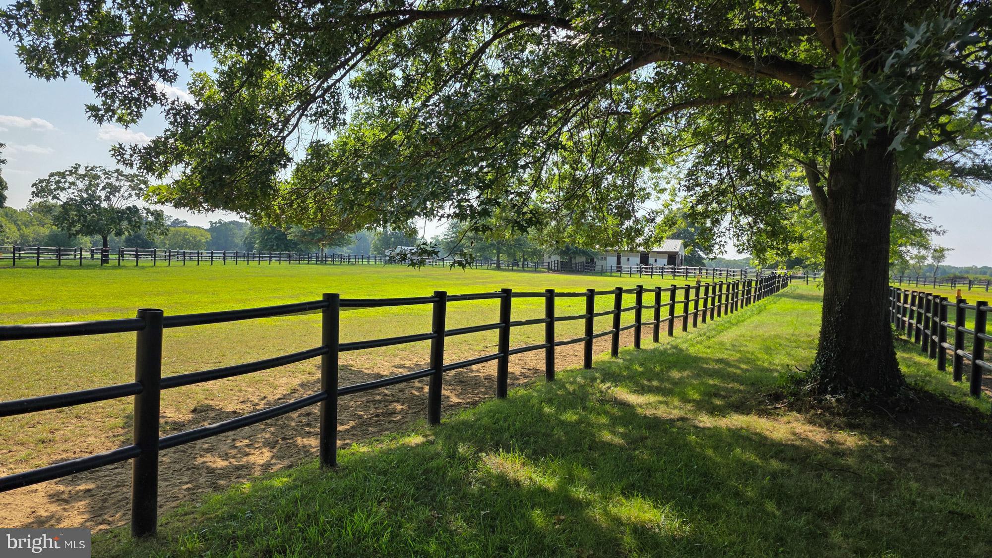 58 Sykesville Road Chesterfield, NJ 08515 - Photo 3 of 144 Serene pasture framed by lush greenery.