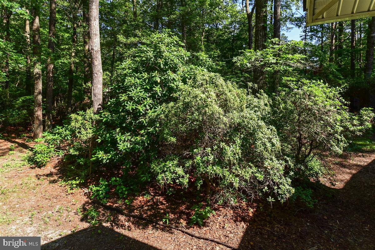 27 Pinehurst Road Ocean Pines, MD 21811 - Photo 40 of 44