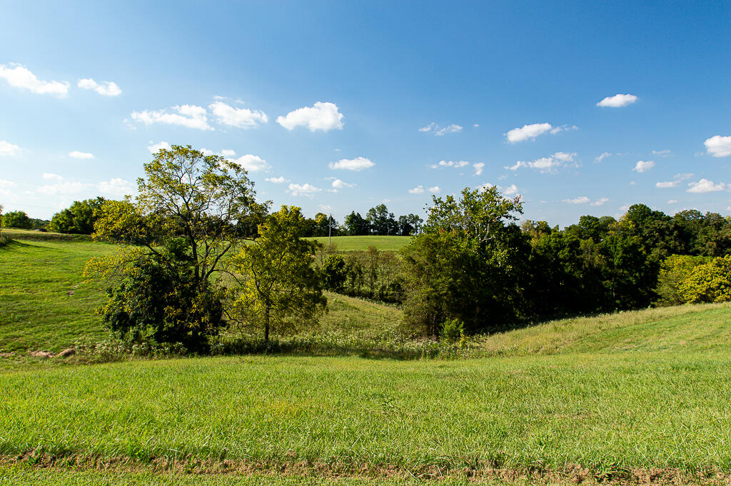 13200 Bald Knob Road Frankfort, KY 40601 - Photo 44 of 61 DSC_8491