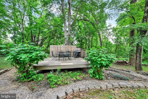 a view of a garden with a fountain