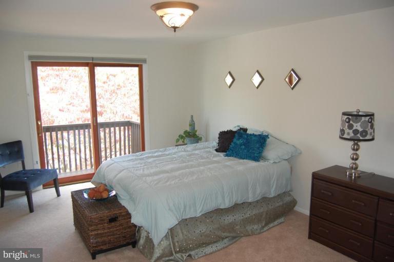 254 Cottage Road Sterling, VA 20164 - Photo 9 of 17 Master Bedroom #2