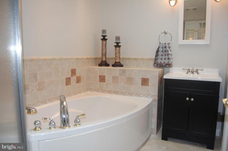 254 Cottage Road Sterling, VA 20164 - Photo 10 of 17 Master Bath