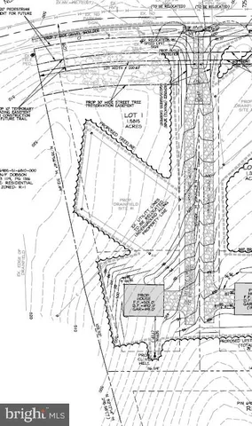 a picture of white wall with a tree