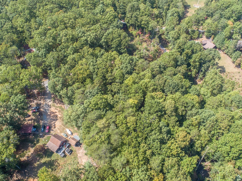 1003 Sun Rock Mountain Road Blue Ridge, GA 30513 - Photo 13 of 36 Gallery Image 13