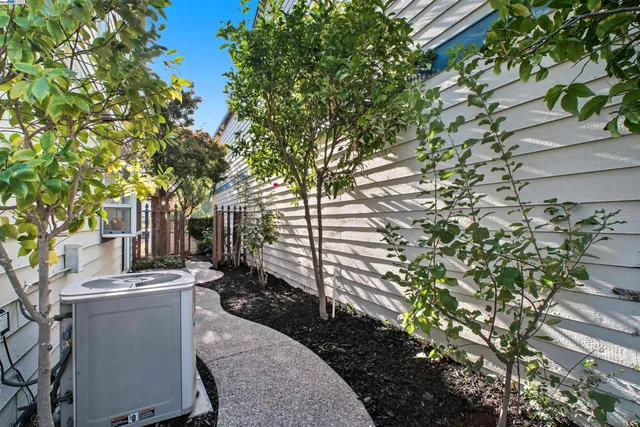 a view of a house with a tree