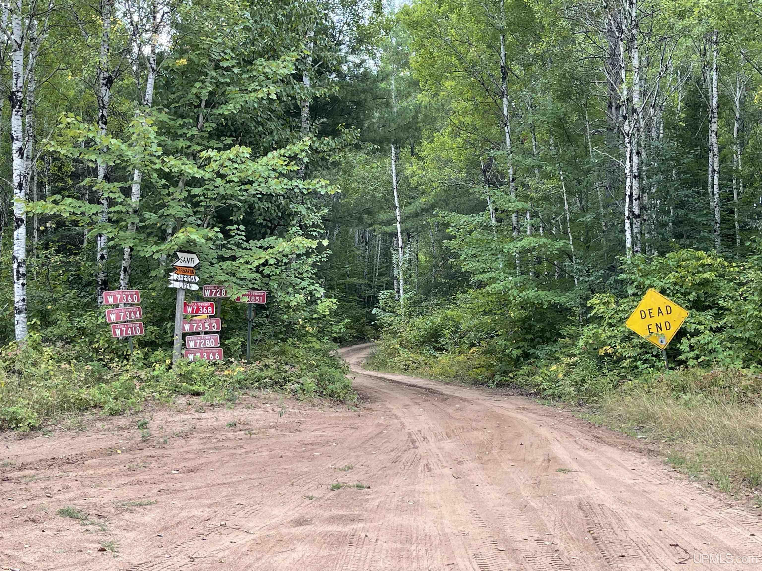 W7280 Webber Creek Road Channing, MI 49815 - Photo 5 of 28