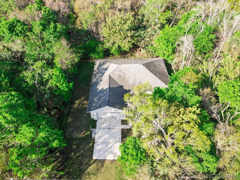 4650 Tree Top Lane Edgewater, FL 32141 - Photo 2 of 35 Gallery Image 2