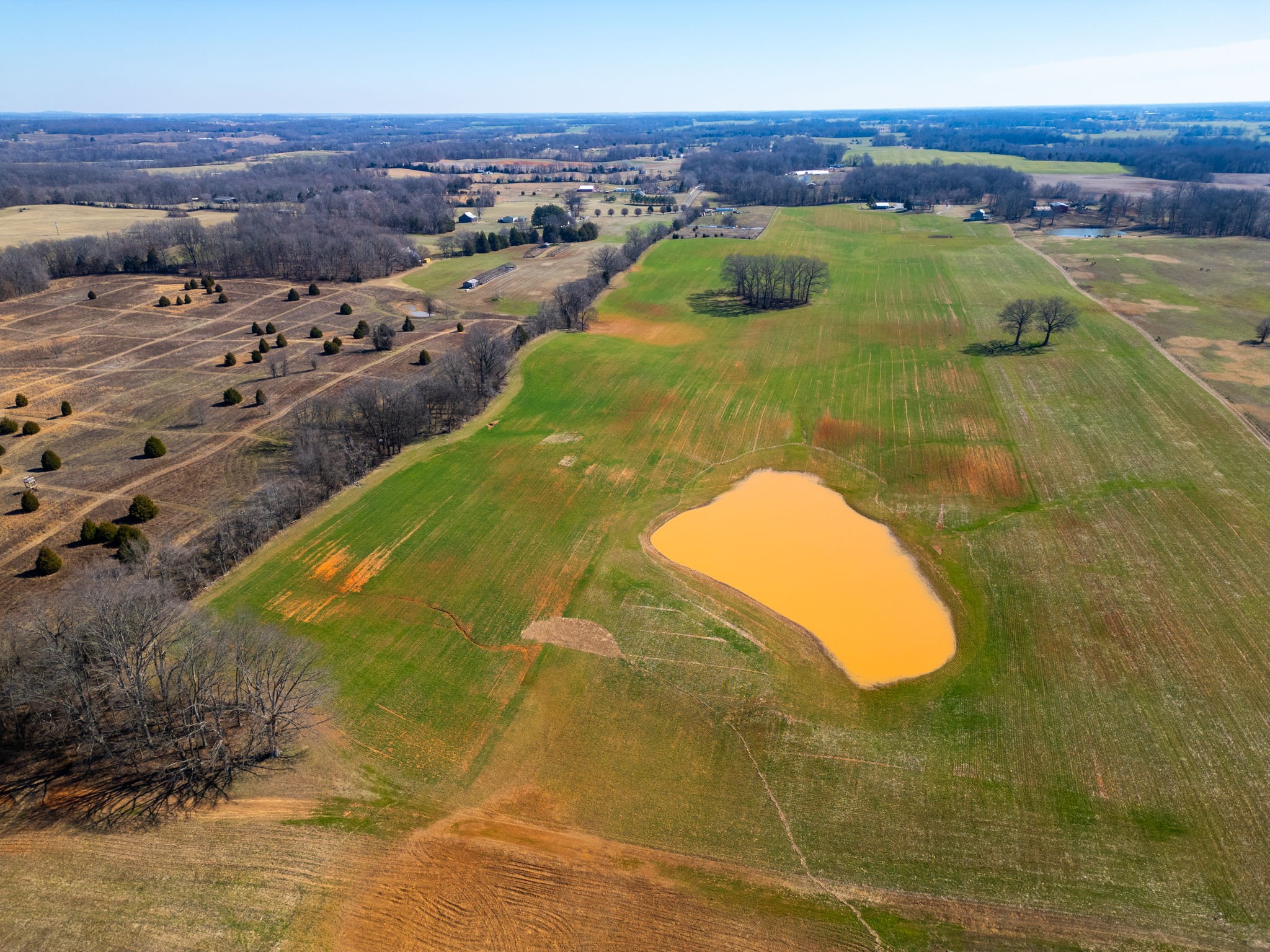 0 Smith Road Cedar Hill, TN 37032 - Photo 13 of 14 a view of a swimming pool with a table and chairs