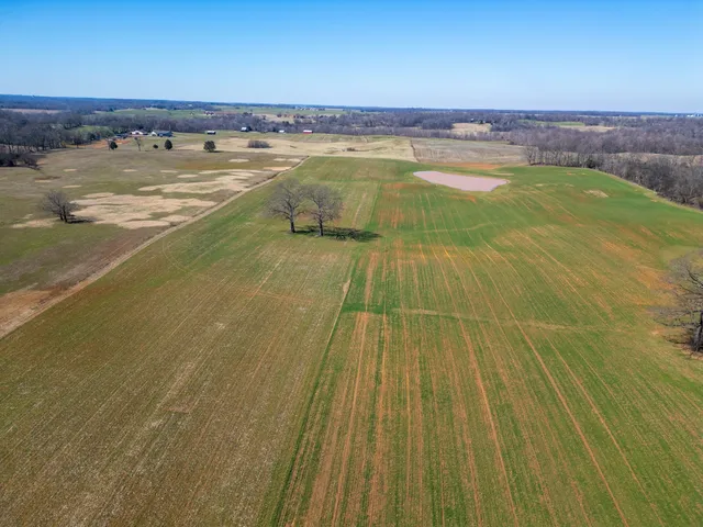 a view of an ocean and beach