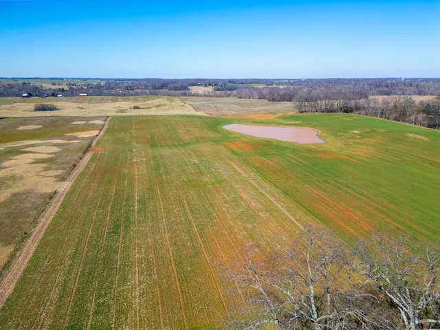 a view of a swimming pool with a yard