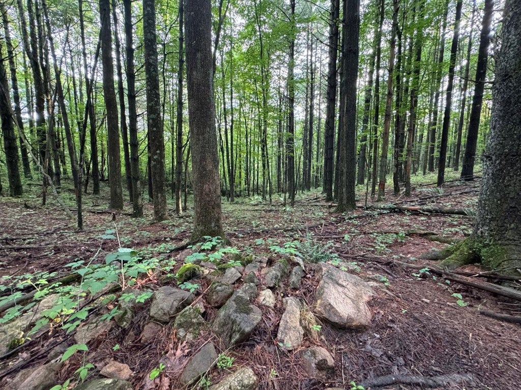 810 Loggy Ridge Road Hillsville, VA 24343 - Photo 22 of 41 Gallery Image 22