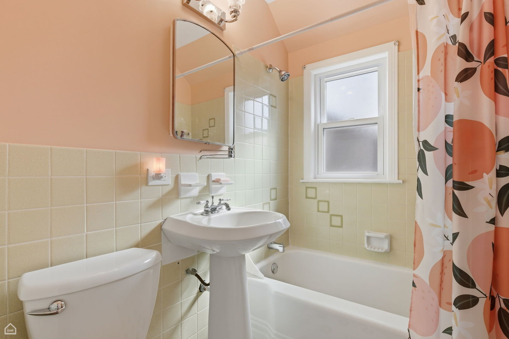 609 North Hamlin Avenue Park Ridge, IL 60068 - Photo 19 of 33