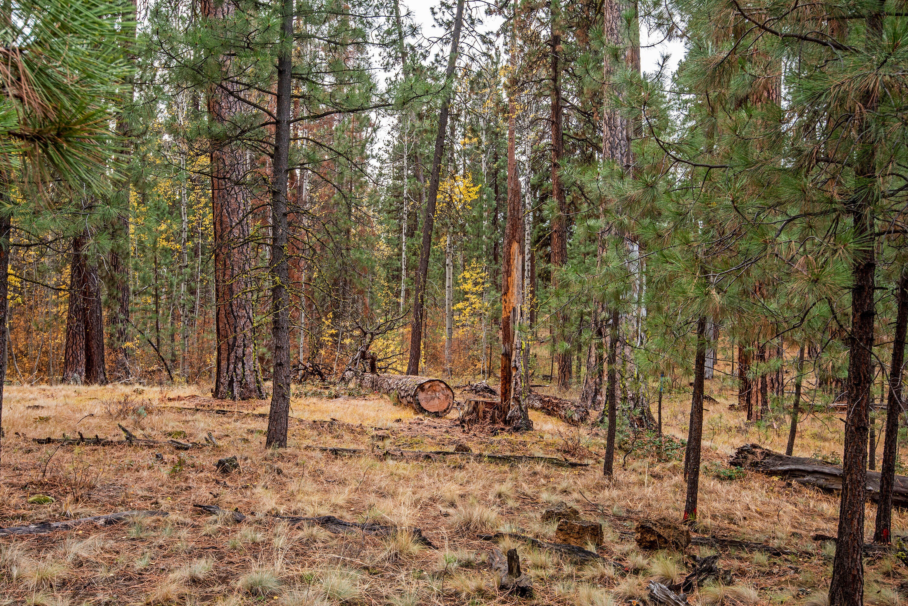13845 Bishops Cap, Unit EM28 Black Butte Ranch, OR 97759 - Photo 30 of 34 30