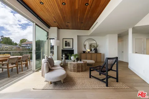 a living room with furniture a rug potted plant and a large window