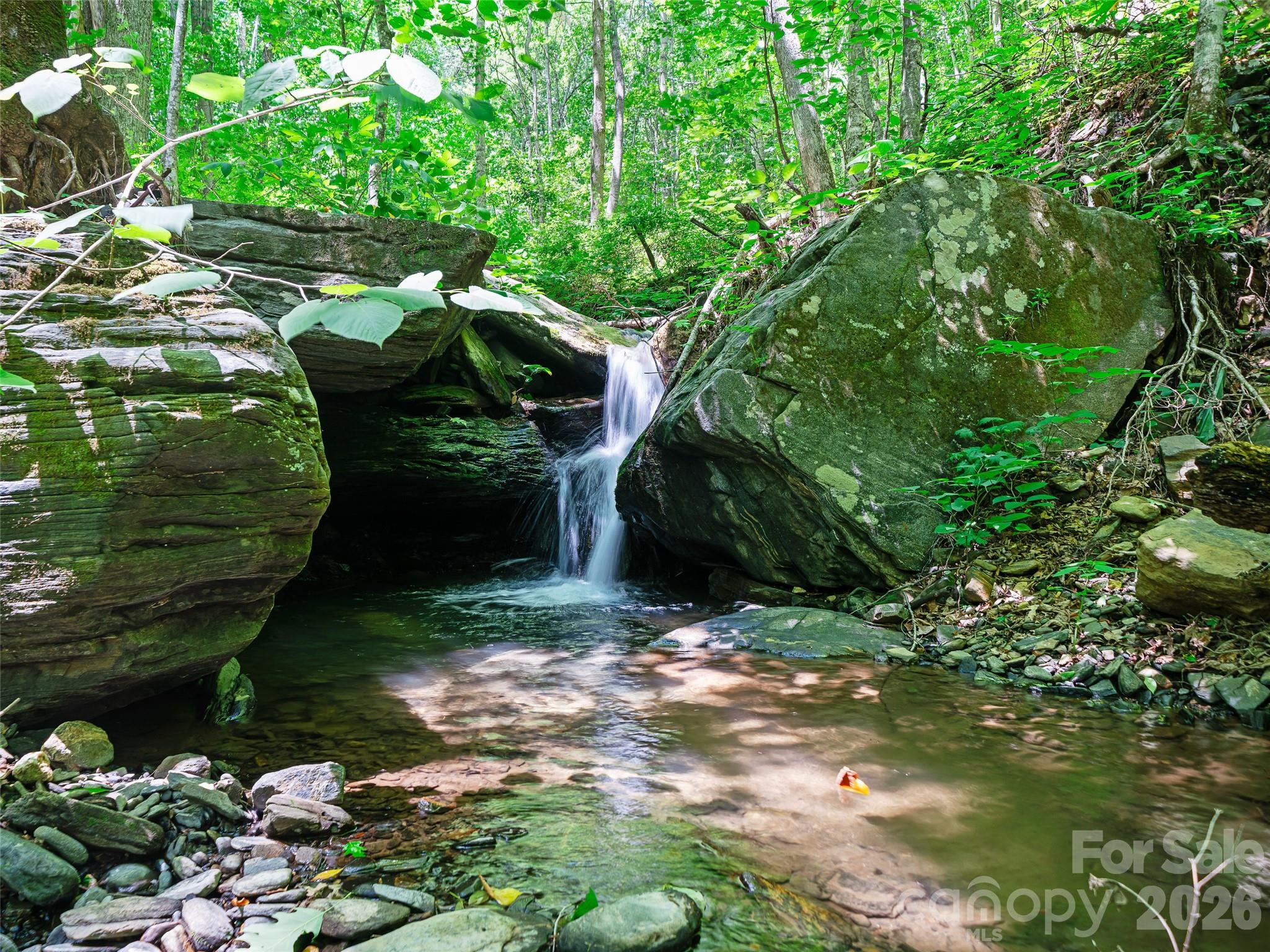 349 Spring Creek Road Bakersville, NC 28705 - Photo 32 of 47
