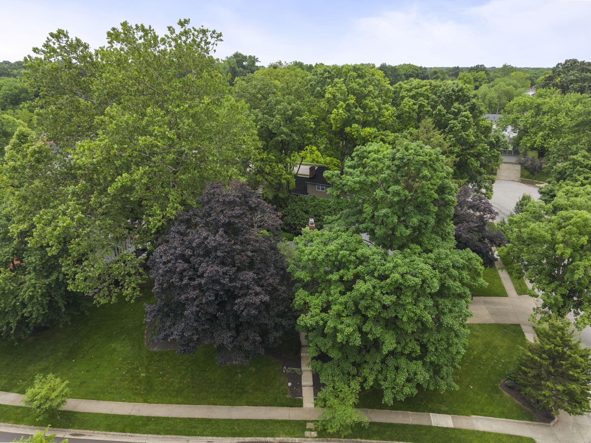 2315 Haverford Road Columbus, OH 43220 - Photo 87 of 99