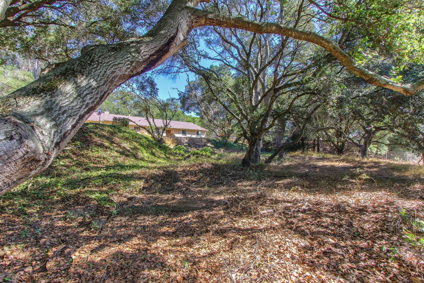 18441 Moro Road Salinas, CA 93907 - Photo 15 of 15 Gallery Image 15