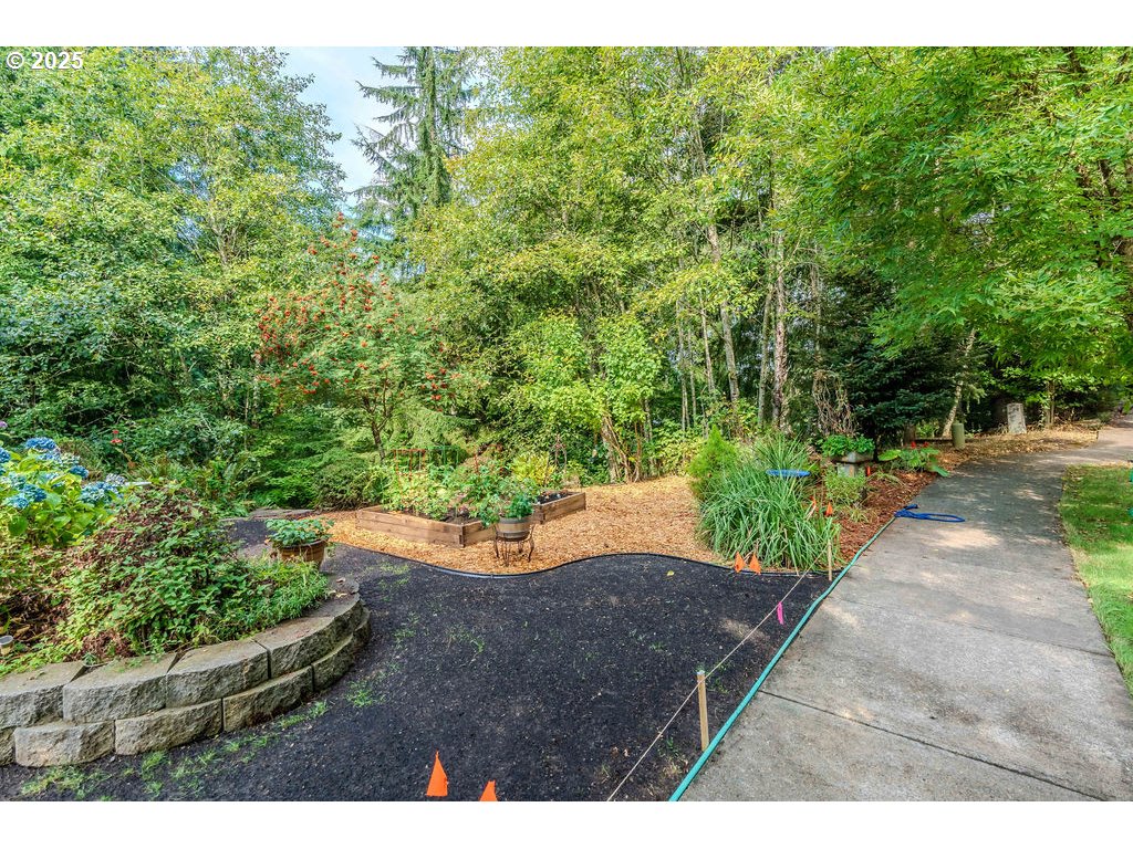 37702 Hamilton Ridge Drive Sandy, OR 97055 - Photo 5 of 44 a backyard of a house with a yard and outdoor seating