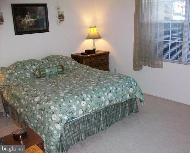 112 Fort Evans Road Southeast, Unit 54 Leesburg, VA 20175 - Photo 4 of 6 Plenty of space in the master bedroom
