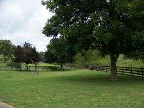 1352 Reedy Creek Road Bristol, TN 37620 - Photo 8 of 22 Photo 8